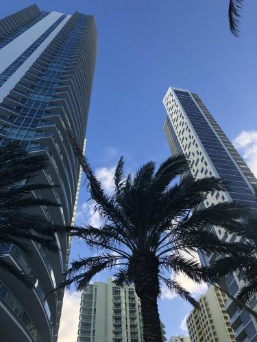 Our Miami moving crew has relocated some of the most elite residencies in the city.